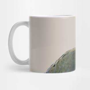 Mourning Dove No.4 Mug